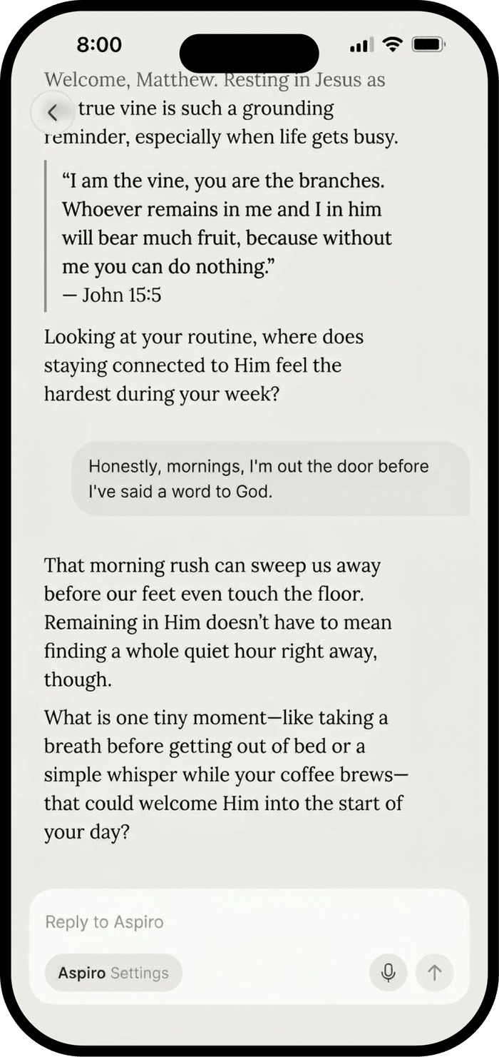 A conversation with Aspiro's companion about a lesson